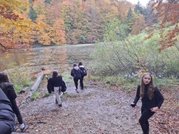 56620825212824023903543737699885385212940907n